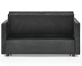 Loveseats Sofa Bed With Pull Out Bed,Adjsutable Back And Two Arm Pocket,Black 54.5