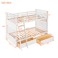 Twin Over Twin Wood Bunk Bed With Two Drawers White White Solid Wood