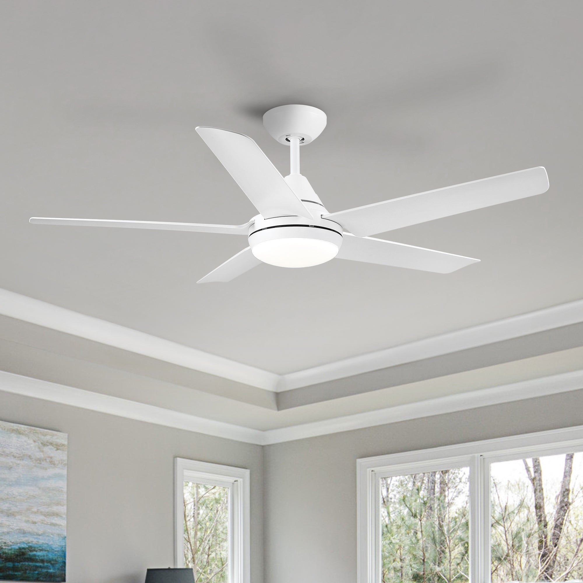 48 In Intergrated Led Ceiling Fan With White Abs Blade White Abs