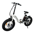 Aostirmotor G20 Folding Electric Bike Ebike Bicycle 500W Motor 20