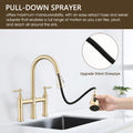 Double Handle Bridge Kitchen Faucet With Pull Down Spray Head Brushed Gold Stainless Steel