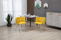Coolmore Leisuredining Chairsaccent Chair2Pc Set Mustard Metal