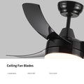 Yuhao 42 Inch 3 Blade Matte Black Dc Motor Modern Contemporary Led Ceiling Fan 42 In X 42 In X 10.34 In Black Abs