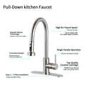 Stainless Steel Pull Down Kitchen Faucet With Soap Dispenser Brushed Nickel Brushed Nickel Stainless Steel