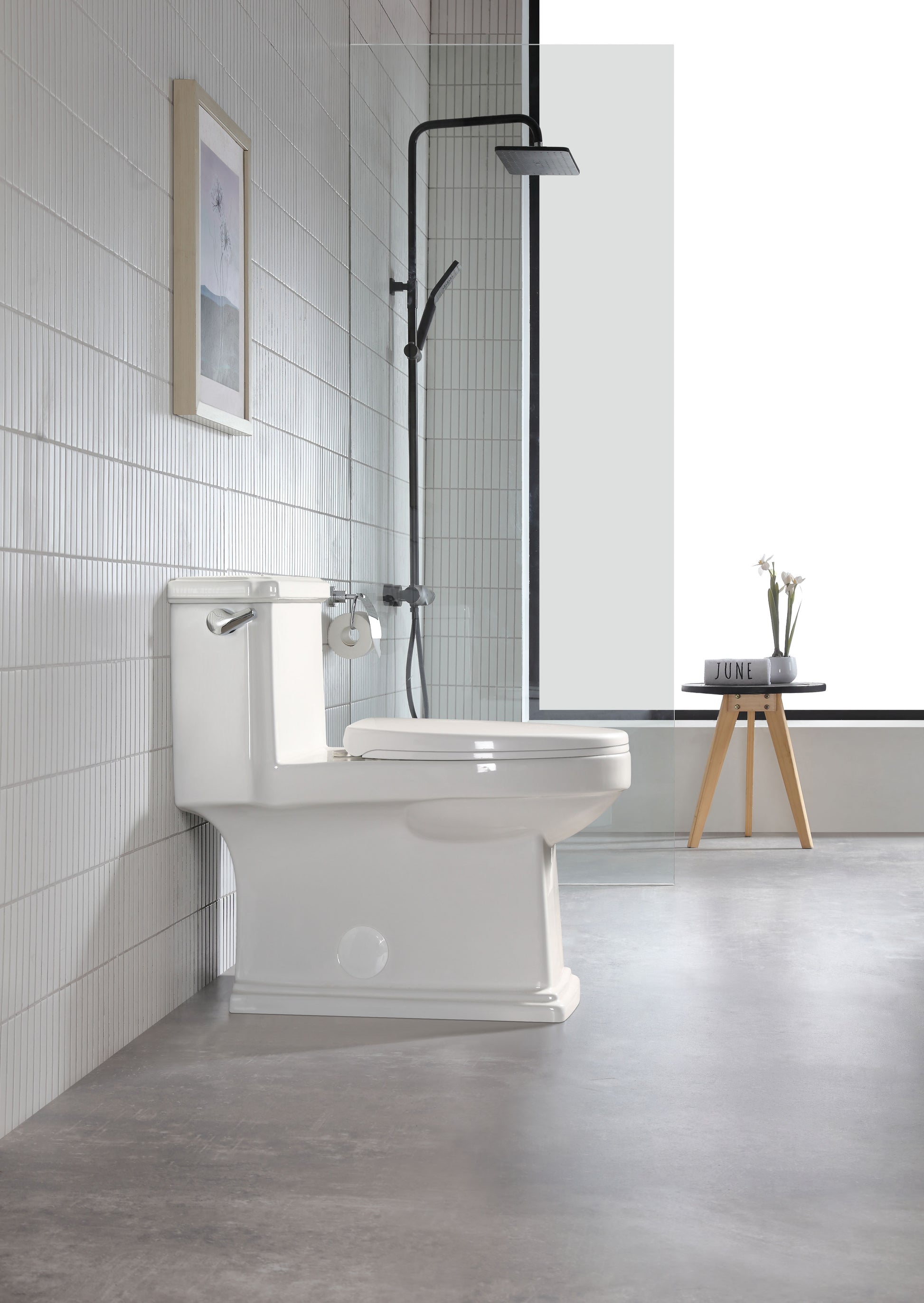 One Piece Toilet White Ceramic