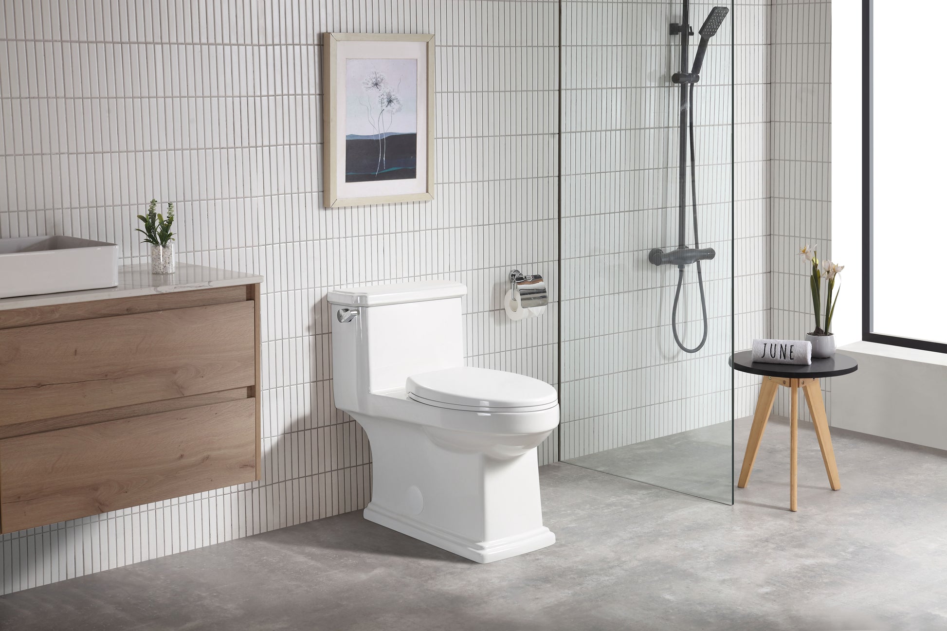 One Piece Toilet White Ceramic