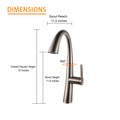 Kitchen Faucet With Pull Out Spraye,Brushed Nickel Brushed Nickel Stainless Steel