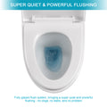 Ceramic One Piece Toilet,Single Flush With Soft Clsoing Seat White Ceramic