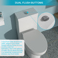 Ceramic One Piece Toilet,Dual Flush With Soft Clsoing Seat White Ceramic