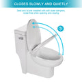 Ceramic One Piece Toilet,Single Flush With Soft Clsoing Seat White Ceramic