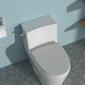 Ceramic One Piece Toilet,Single Flush With Soft Clsoing Seat White Ceramic