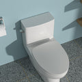 Ceramic One Piece Toilet,Single Flush With Soft Clsoing Seat White Ceramic