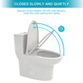 Ceramic One Piece Toilet,Dual Flush With Soft Clsoing Seat White Ceramic