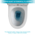 Ceramic One Piece Toilet,Dual Flush With Soft Clsoing Seat White Ceramic