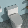 Ceramic One Piece Toilet,Single Flush With Soft Clsoing Seat White Ceramic