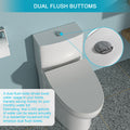 Ceramic One Piece Toilet,Dual Flush With Soft Clsoing Seat White Ceramic