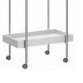 Storage Cart With 2 Tier Design And Metal Frame, White And Chrome White Metal