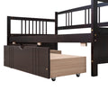 Twin Size Daybed Wood Bed With Two Drawers,Espresso Old Sku:Lp000057Aap Espresso Solid Wood