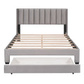 Queen Size Storage Bed Velvet Upholstered Platform Bed With A Big Drawer Gray Gray Velvet