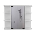 Roseburg 6 Shelf Medicine Cabinet With Mirorr White White Particle Board