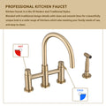 Double Handle Bridge Kitchen Faucet With Side Spray Brushed Gold Stainless Steel