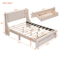 Full Size Storage Bed Velvet Upholstered Platform Bed With A Big Drawer Beige Beige Velvet