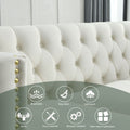 Contact Us For 3D Modeling Velvet Sofa For Living Room,Buttons Tufted Square Arm Couch, Modern Couch Upholstered Button And Metal Legs, Sofa Couch For Bedroom, Beige Velvet W834S00023 Beige Foam Velvet