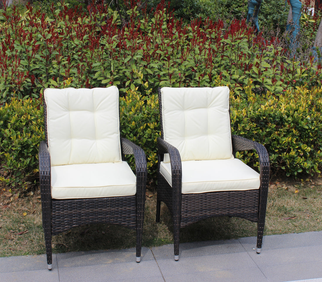 2 Piece Liberatore Dining Chairs With Cushions Beige Cushion Brown Iron