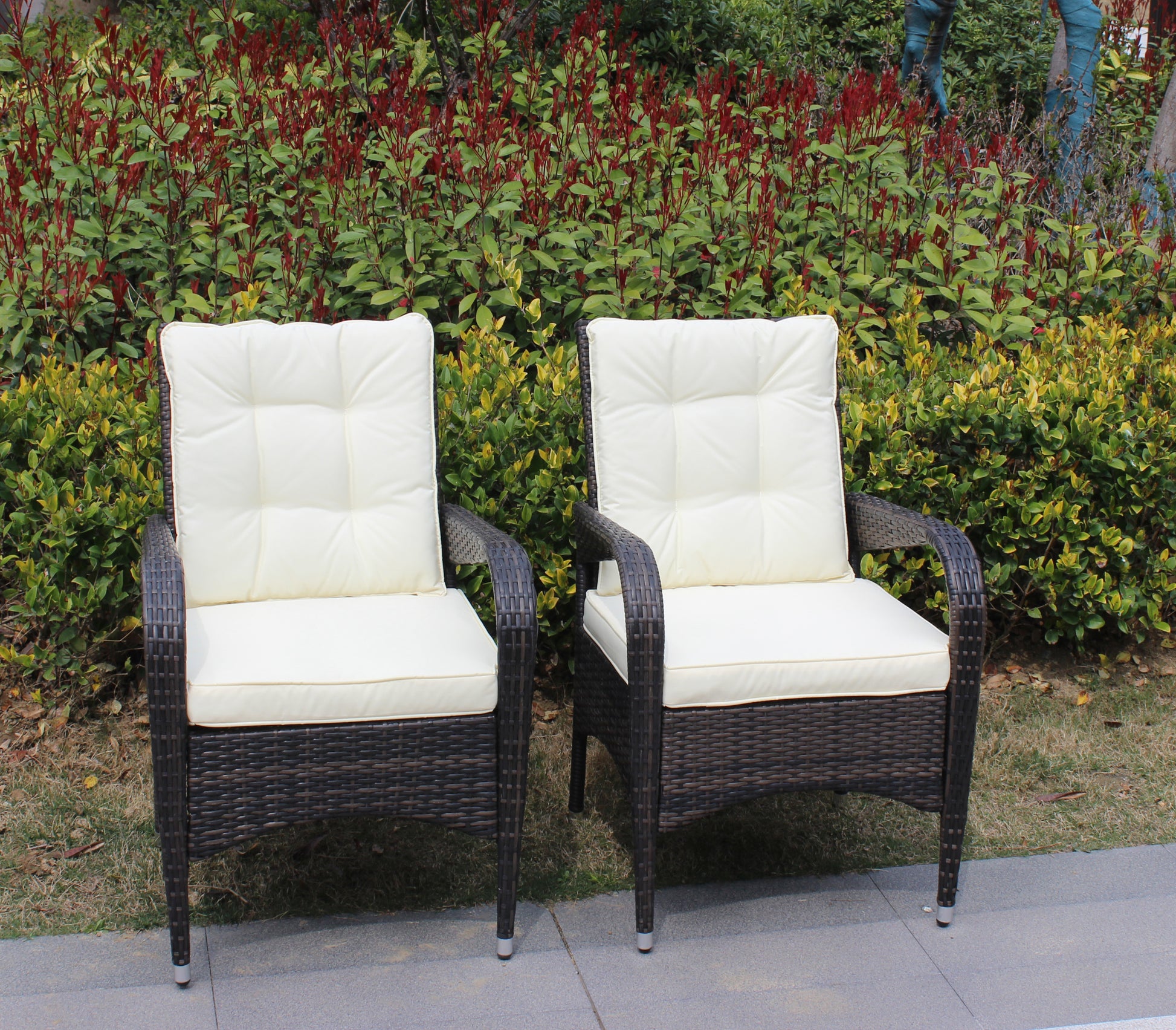 2 Piece Liberatore Dining Chairs With Cushions Beige Cushion Brown Iron
