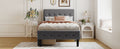 Twin Size Upholstered Platform Bed With 2 Drawers, Gray Gray Upholstered