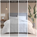 Cotton Down Alternative Featherless Comforter Twin White Cotton