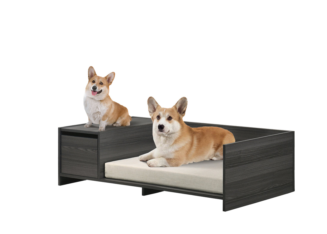 Esme Ash Gray 47" Wide Modern Comfy Pet Bed With Cushion And Side Storage Compartment Dark Gray Particle Board