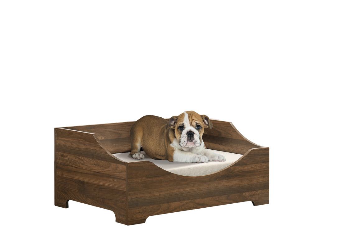 Gibson 36" Brown Alder Wood Finish 36" Wide Modern Comfy Pet Bed With Cushion Brown Particle Board