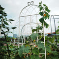 2 Pack Metal Garden Trellis 86.7