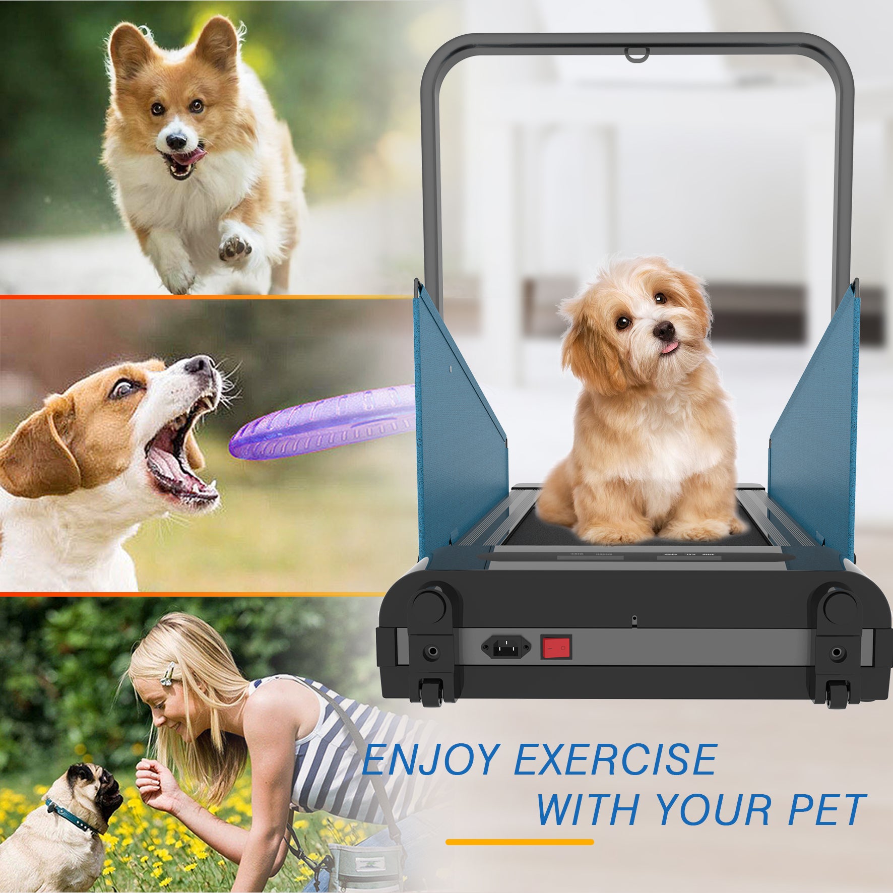 Dog Treadmill Small Dogs Dog Treadmill For Medium Dogs Dog Pacer Treadmill For Healthy & Fit Pets Dog Treadmill Run Walk Black Steel