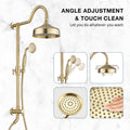 Shower Head With Handheld Shower System With 8