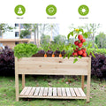 Raised Garden Bed Planter Box With Legs & Storage Shelf Wooden Elevated Vegetable Growing Bed For Flower Herb Backyard Patio Balcony 48.5X30X24.4In Colourless Natural Solid Wood