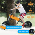 Children'S Outdoor Off Road Electric Bicycle Orange Aluminium Alloy Aluminium Alloy