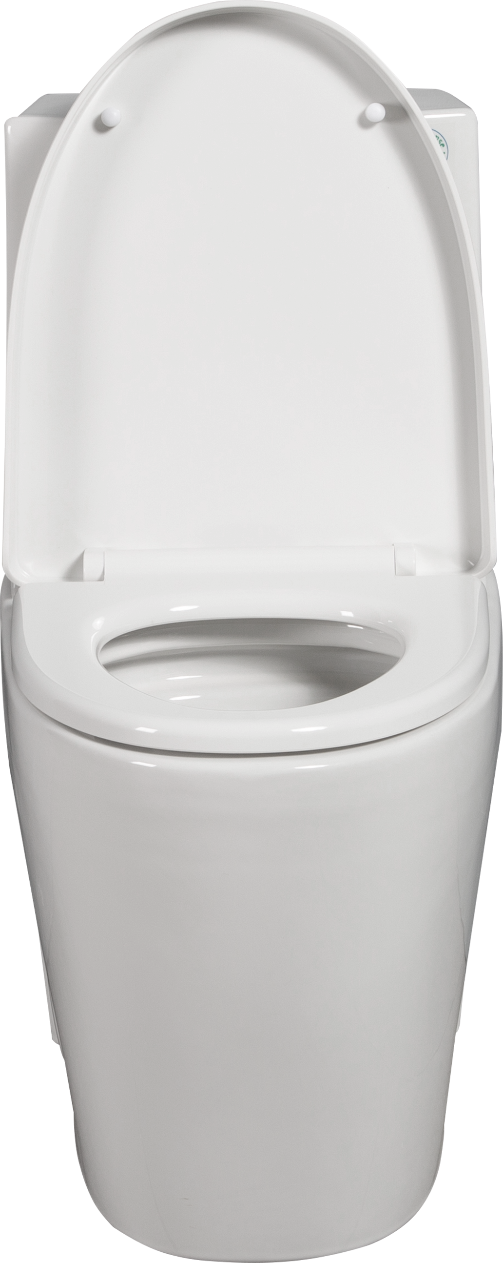 One Piece Toilet, 1.1 1.60 Gpf Water Efficient Dual Flush Elongated Comfort Height Floor Mounted, Standard Size Toilet With Soft Closing Seat Included, Glossy White 24T01 Gw Gloss White Ceramic