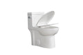 1.28 Gpf Single Flush One Piece Toilet, Water Saving Elongated Comfort Height Floor Mounted, Soft Closing Seat, 1000 Gram Map Flushing Score Toilet, Gloss White 23T03 Gw Gloss White Ceramic