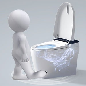 St Zgp 01 Smart Toilet With Heated Bidet Seat, One Piece Toilet With Auto Open&Close, Feet Sensor Operation, Auto Dual Flush, Dryer And Warm Water, Built In Water Tank Without Pressure Limited, White White Bathroom Ceramic