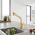 Utility Sink Faucets Single Handle Pull Out Laundry Faucet With Dual Spray Function In Stainless Spot Resistant Gold Gold Stainless Steel