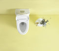 Toilet Floor Bolts And Caps Set Only, 23T01 Gwp03 White Plastic