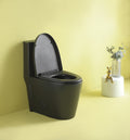 Black Toilet Seat Cover 24T01 Mbp01 Matte Black Acrylic