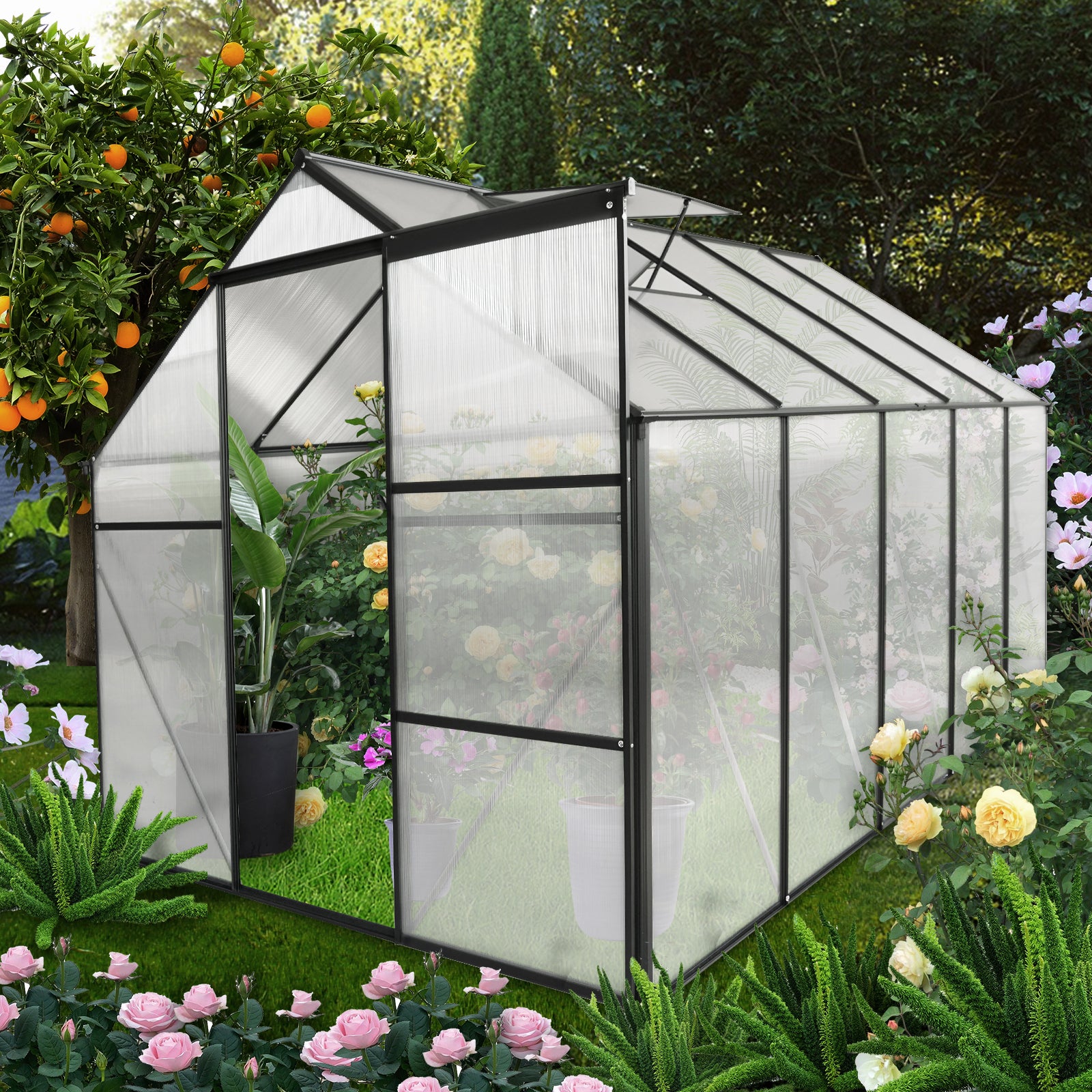 6X10 Ft Polycarbonate Greenhouse Raised Base And Anchor Aluminum Heavy Duty Walk In Greenhouses For Outdoor Backyard In All Season Black Aluminium