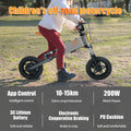 Children'S Outdoor Off Road Electric Bicycle Gray Aluminium Alloy Aluminium Alloy