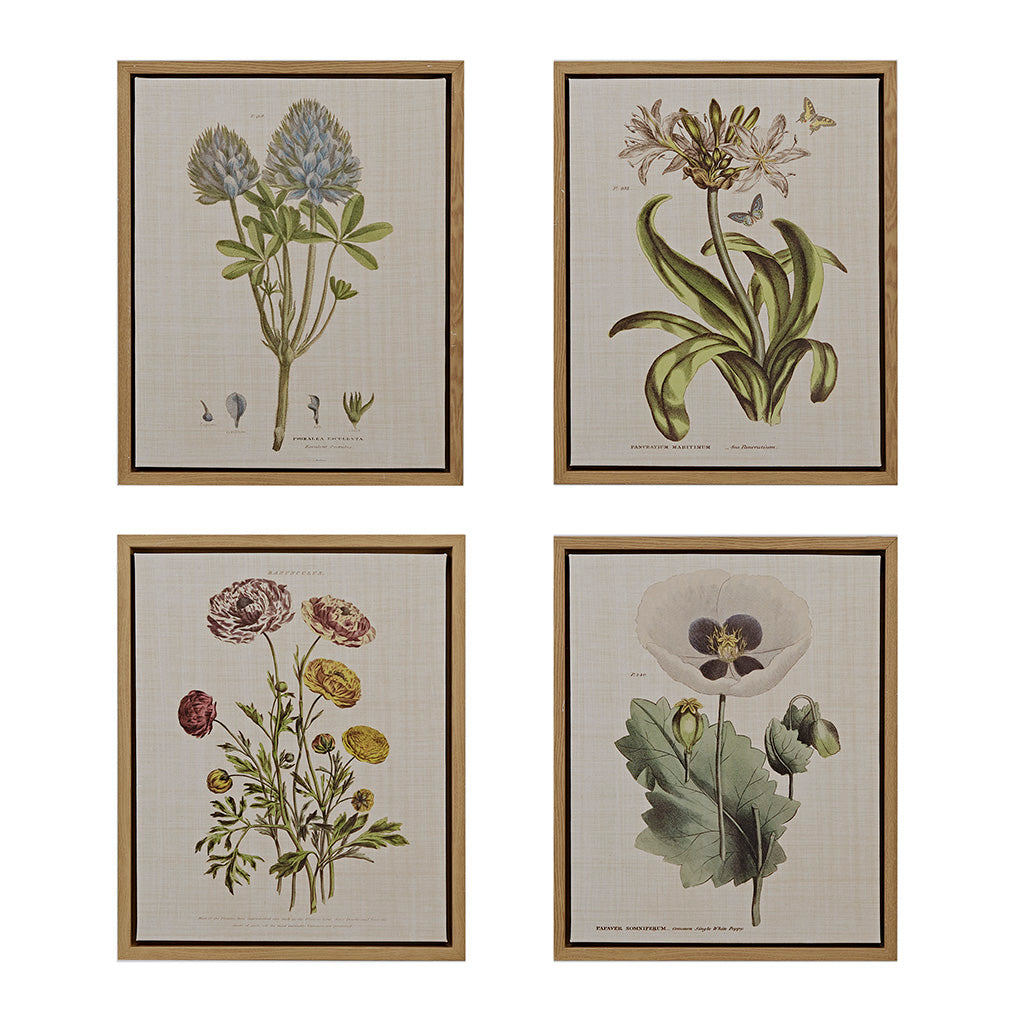 4 Piece Botanical Illustration Framed Canvas Wall Art Set Green Mdf