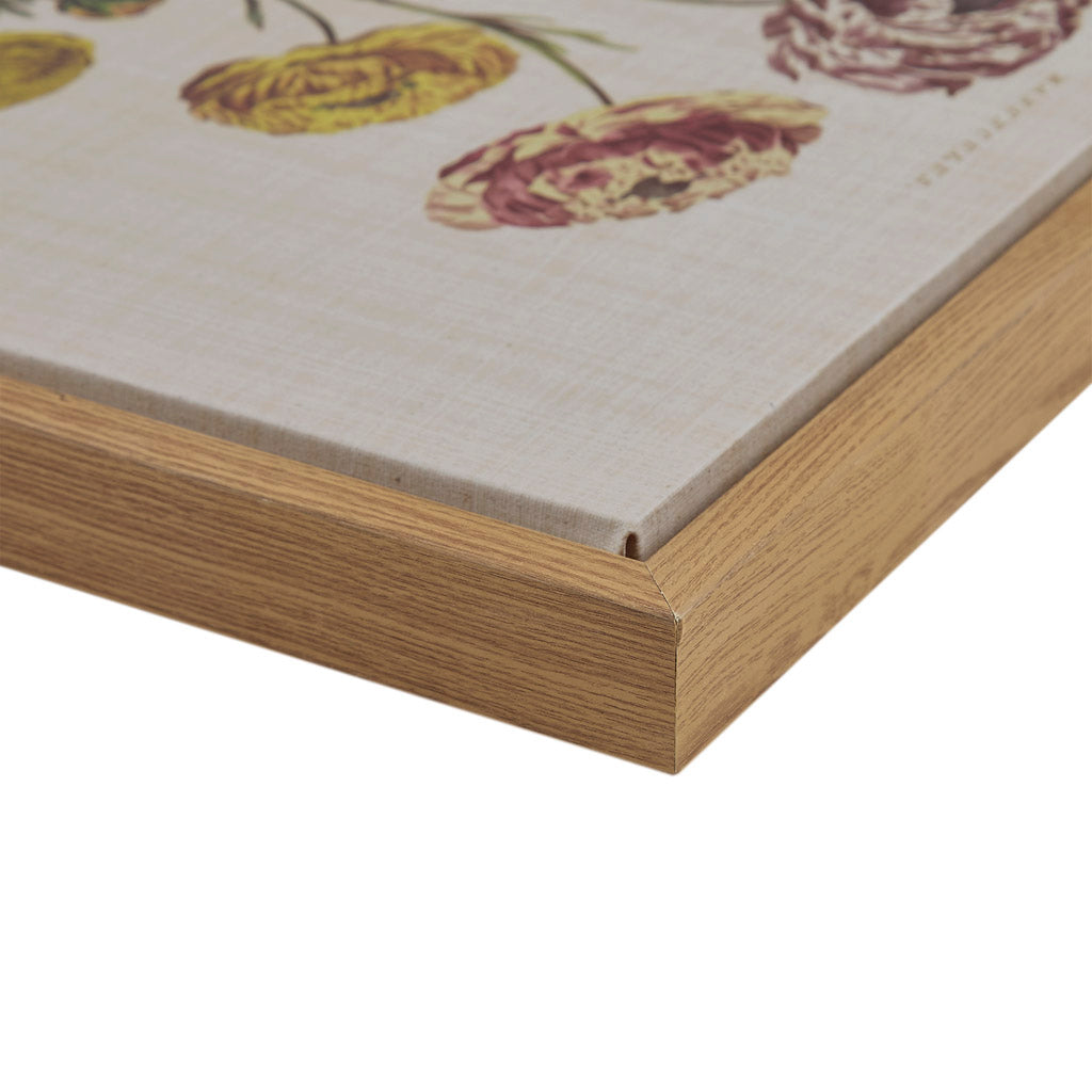 4 Piece Botanical Illustration Framed Canvas Wall Art Set Green Mdf