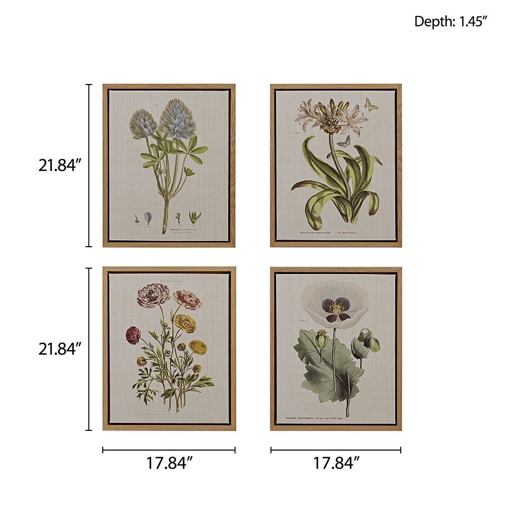 4 Piece Botanical Illustration Framed Canvas Wall Art Set Green Mdf