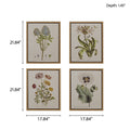 4 Piece Botanical Illustration Framed Canvas Wall Art Set Green Mdf